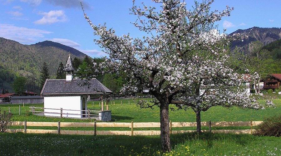 Ferienwohnungen Gabi Köck in Rottach-Egern am Tegernsee