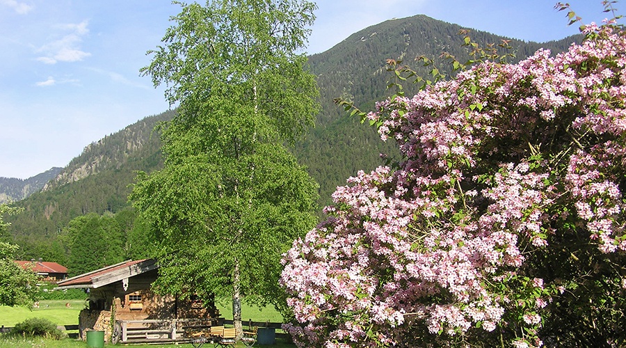 Ferienwohnungen Gabi Köck in Rottach-Egern am Tegernsee